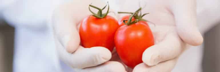 nouvel-allergene-tomate