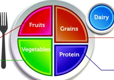 bord-assiette-myplate-Foodinaction