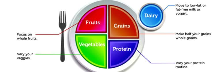 bord-assiette-myplate-Foodinaction