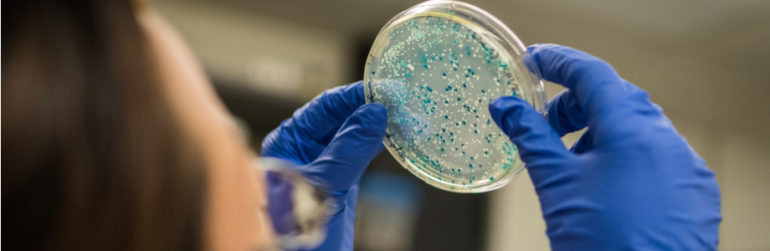 salmonella-kentucky-resistent-antibiotica