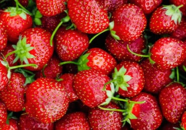 aardbeien-effecten-alcohol-maag-verlichten