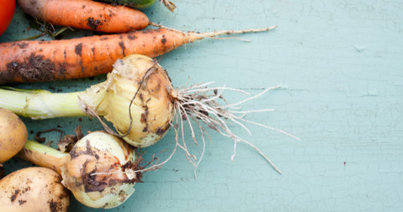 europees-biologisch-logo-voortaan-verplicht