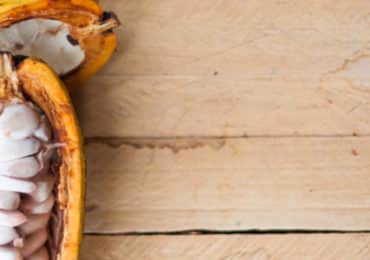 eerste-gezondheidsclaim-chocolade