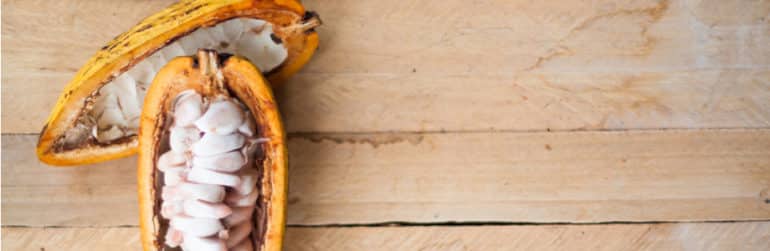 eerste-gezondheidsclaim-chocolade