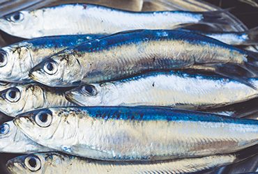Exces-omega-3-quels-risques