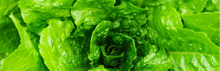 pommes-poires-laitues-attaques-cerebrales