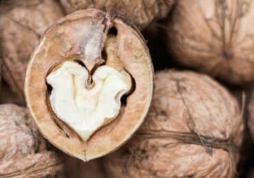 aliments-parlent-sante
