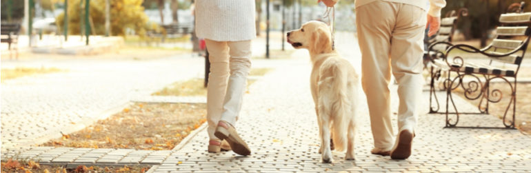 senioren-bewegen-zonder-bewegen
