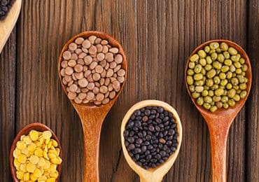 annee-legumineuses-2016