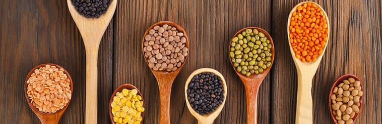 jaar-peulvrucht-2016