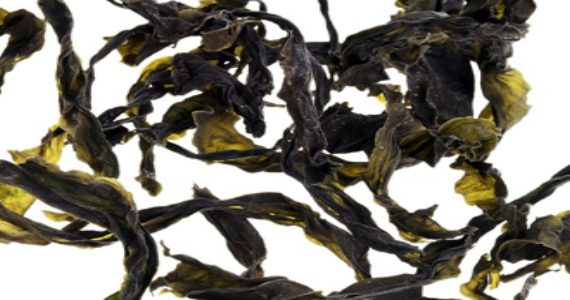 nouvelles-sources-proteines