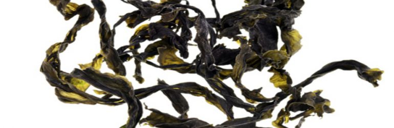 nouvelles-sources-proteines