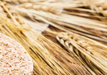 moins-allergies-mangeant-plus-de-fibres
