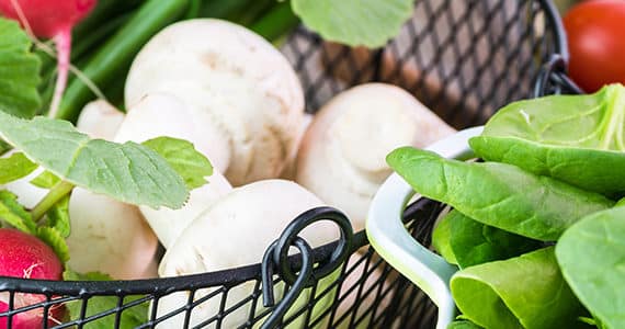 aluminium-prikkelbaredarmsyndroom-verband