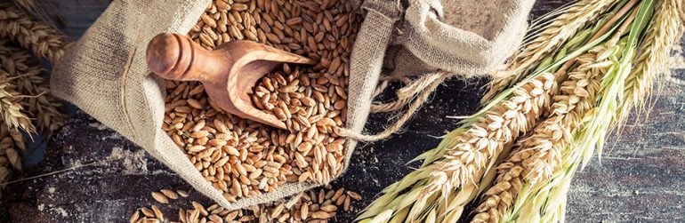 cereales-completes-esperance-de-vie