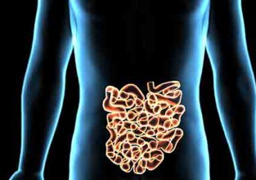 dunne-darm-voedingsvezels