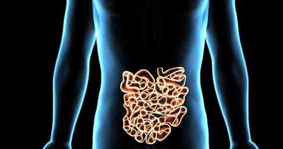 dunne-darm-voedingsvezels