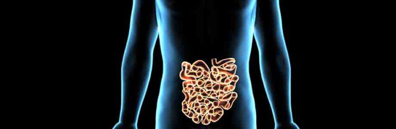 grele-fibres-alimentaires_920