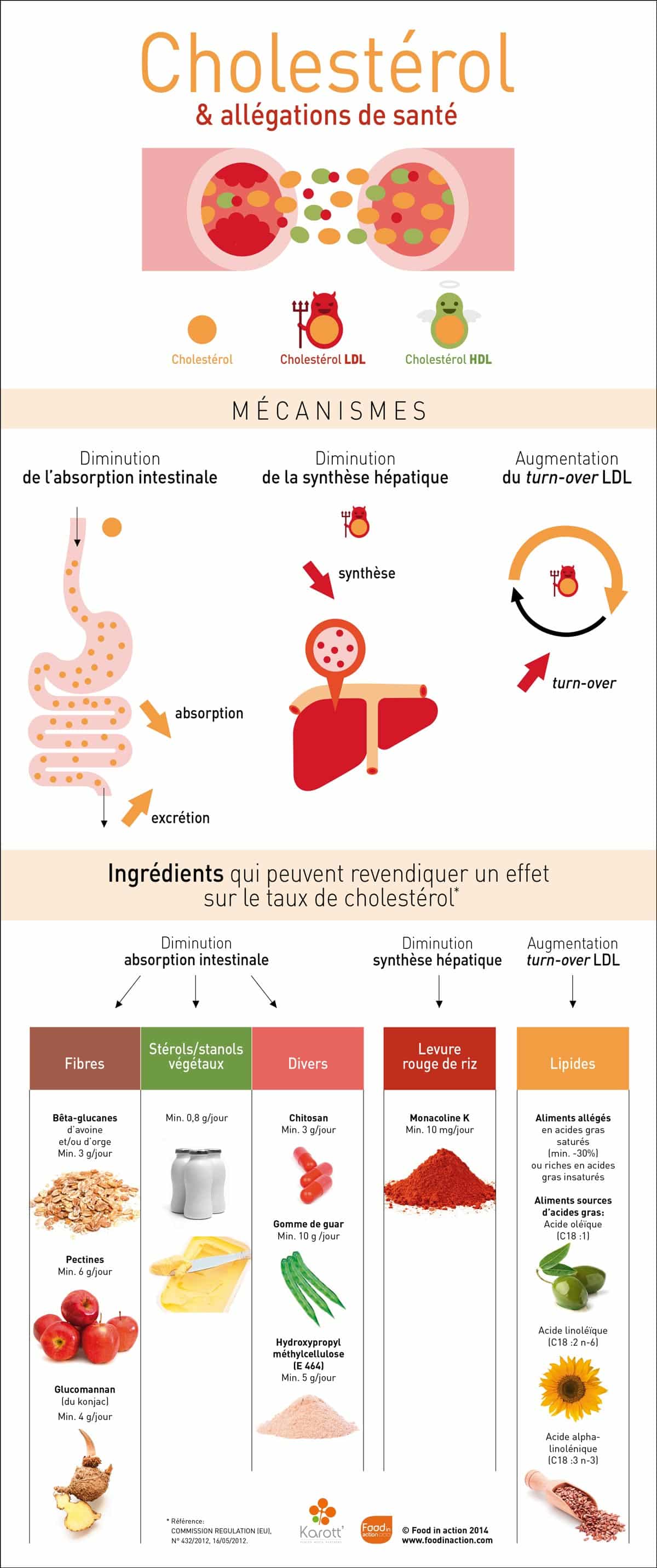 nutrigraphics-cholesterol-allegations-sante