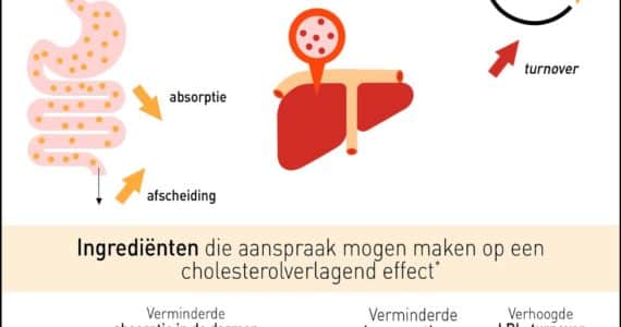 nutrigraphics-cholesterol-gezondheidsclaims