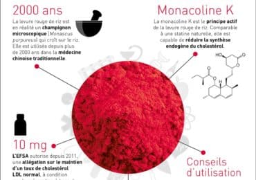 nutrigraphics-levure-rouge-riz