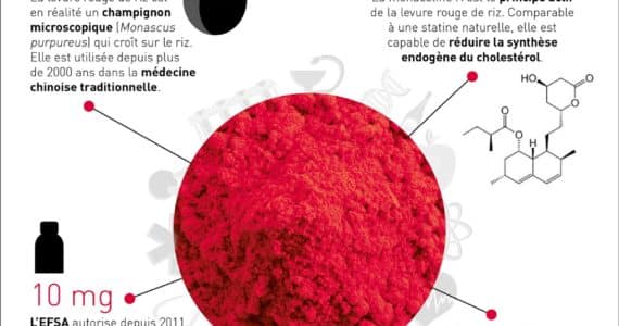 nutrigraphics-levure-rouge-riz