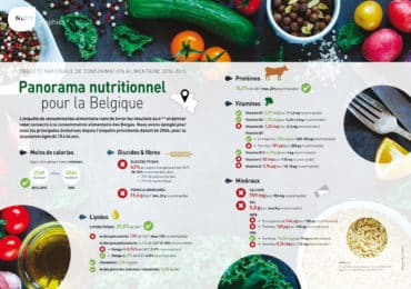 nutrigraphics-panorama-nutritionnel-belgique