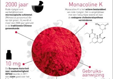 nutrigraphics-rode-rijstgist