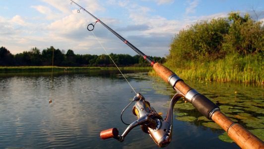 pbc-poissons-eau-douce-prudence