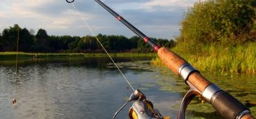 pbc-poissons-eau-douce-prudence