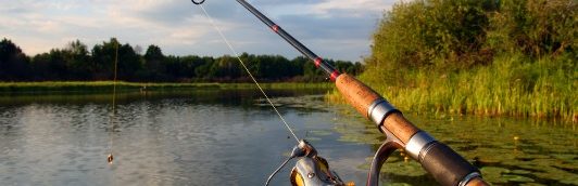 pbc-poissons-eau-douce-prudence