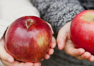 polyphenol-pomme-contre-cancer