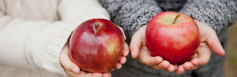 polyphenol-pomme-contre-cancer