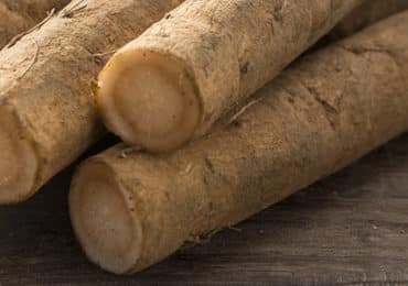 proteases-effet-prebiotique-legume-fermente