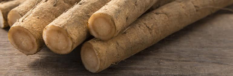 proteases-effet-prebiotique-legume-fermente