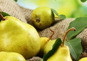 antioxydants-poire-potentiel-probiotique