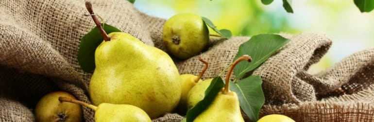 antioxydants-poire-potentiel-probiotique