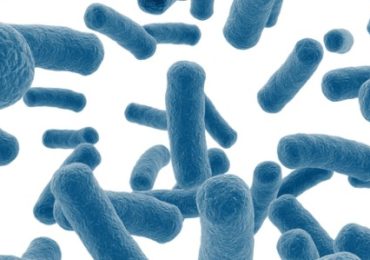 cancer-colorectal-microbiome-intestinal