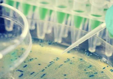 probiotique-bacterie-assaut-obesite