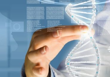 effets-mauvaises-habitudes-alimentaires-persistent-genes