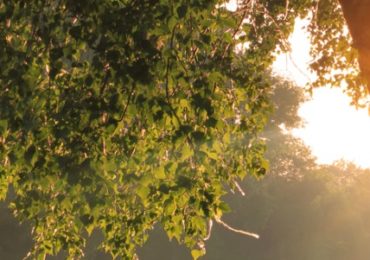 lumiere-matinale-favoriser-poids-sain