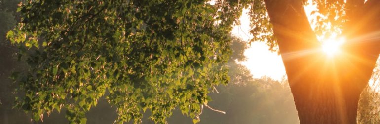 lumiere-matinale-favoriser-poids-sain