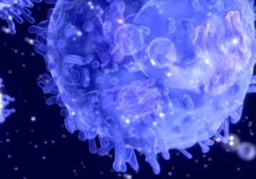 prix-danone-institute-recherche-immunonutrition