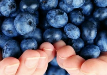 poignee-myrtilles-baisser-tension