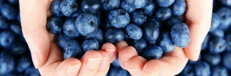 poignee-myrtilles-baisser-tension