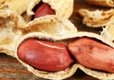 allergie-arachides-exposition-precoce