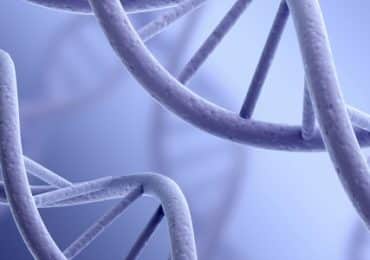 maigrir-pas-croire-poids-genes