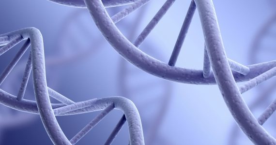 maigrir-pas-croire-poids-genes