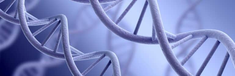 maigrir-pas-croire-poids-genes