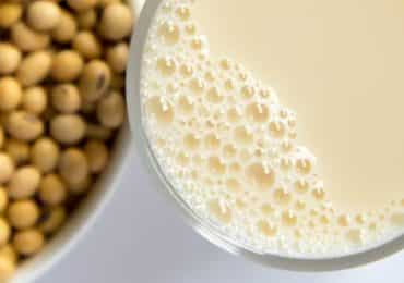 soja-effet-cholesterol